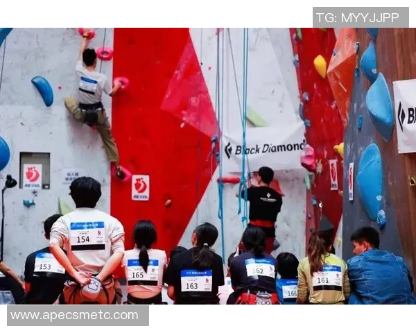 上海攀岩队实力飙升创造历史新高引领全国攀岩潮流