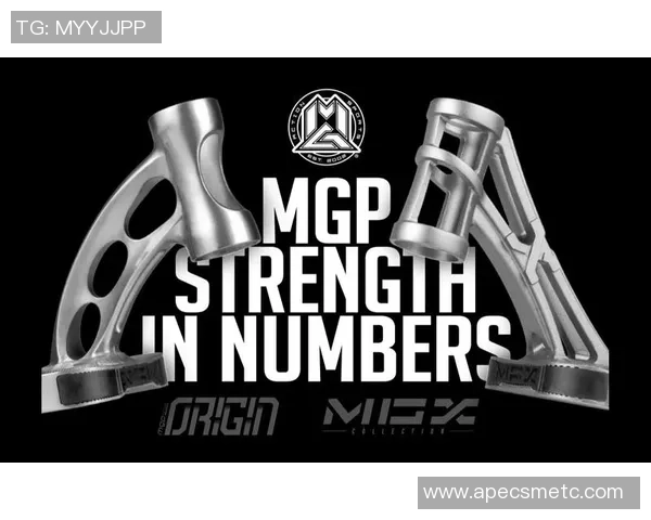 上海滑板队的整体压制革新探索与发展之路的深度剖析与展望